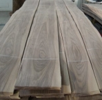 Canaletto walnut