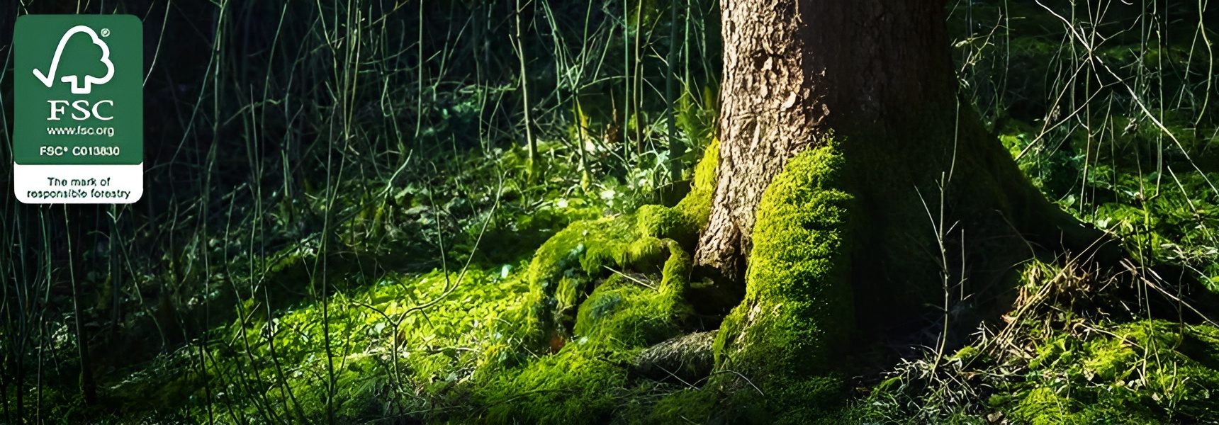 Alla continua ricerca della qualità
