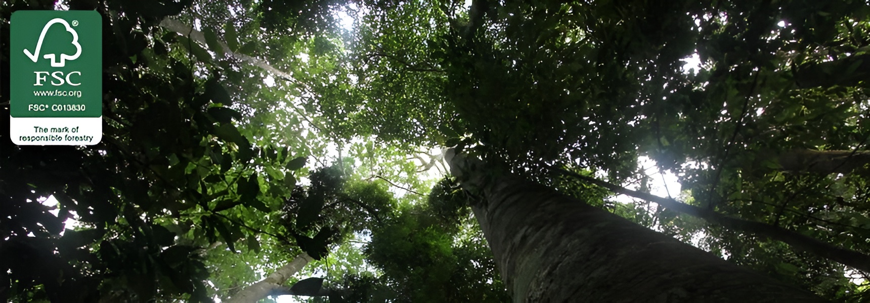 La natura ci alimenta
